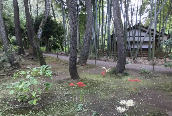 本牧市民公園の写真・動画_image_313171