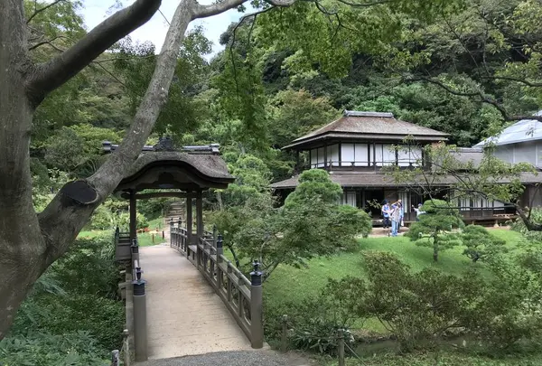本牧市民公園の写真・動画_image_313172