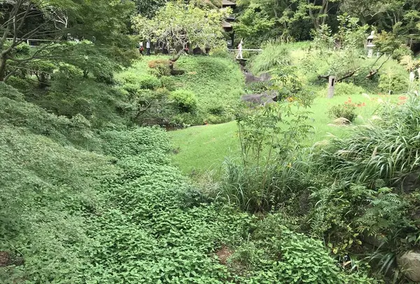 本牧市民公園の写真・動画_image_313173