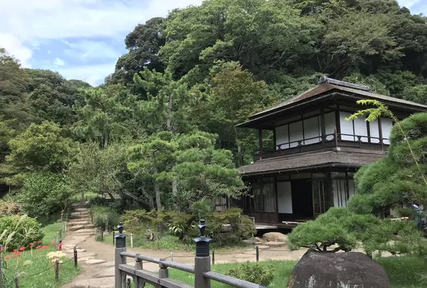 本牧市民公園の写真・動画_image_313174