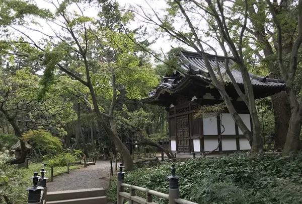 本牧市民公園の写真・動画_image_313175