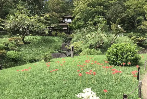 本牧市民公園の写真・動画_image_313177