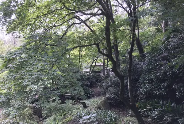 本牧市民公園の写真・動画_image_313187