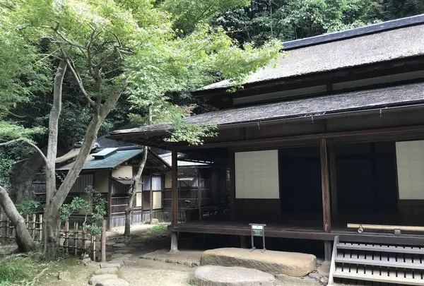 本牧市民公園の写真・動画_image_313188