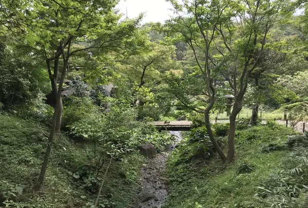 本牧市民公園の写真・動画_image_313192
