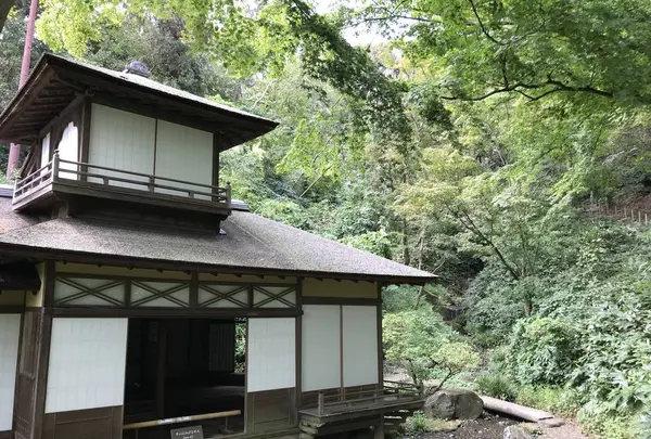 本牧市民公園の写真・動画_image_313193