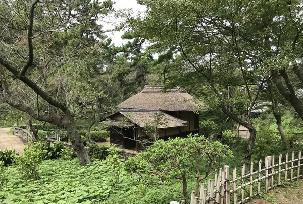 本牧市民公園の写真・動画_image_313247