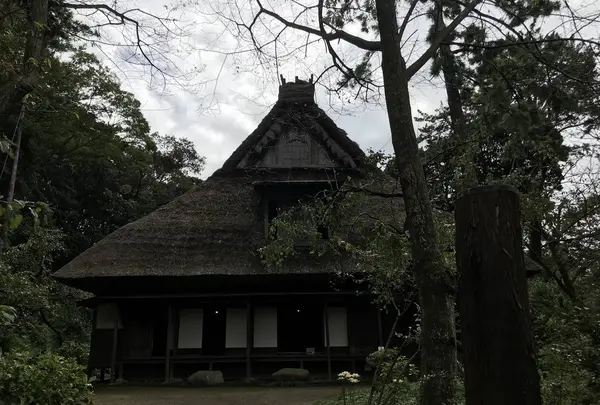 本牧市民公園の写真・動画_image_313248