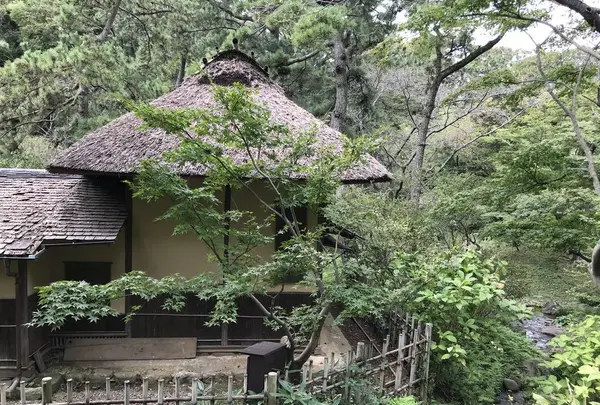 本牧市民公園の写真・動画_image_313249