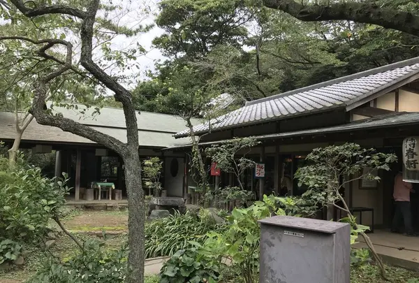 本牧市民公園の写真・動画_image_313251