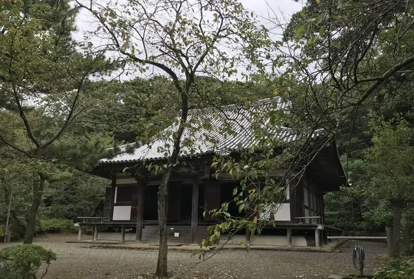 本牧市民公園の写真・動画_image_313252