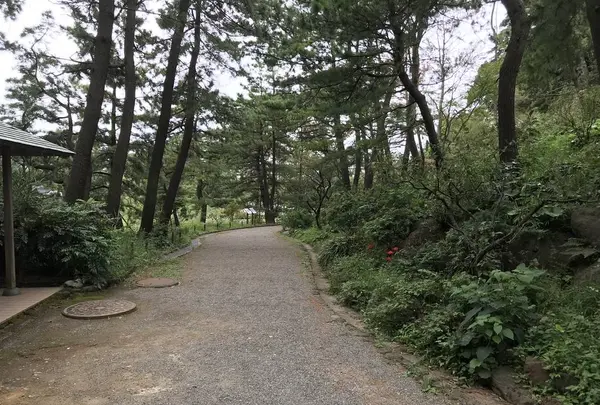 本牧市民公園の写真・動画_image_313256