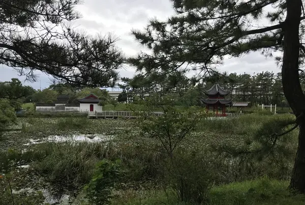 本牧市民公園の写真・動画_image_313257