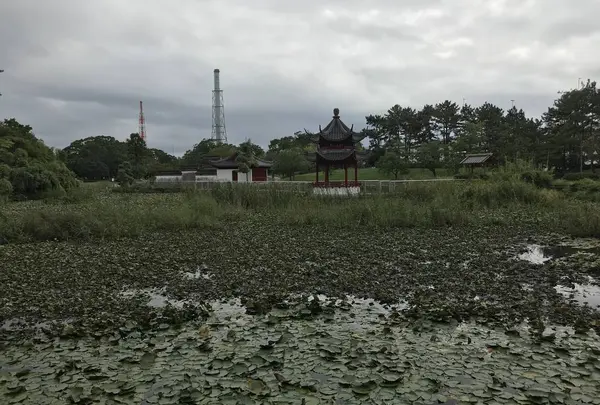 本牧市民公園の写真・動画_image_313258