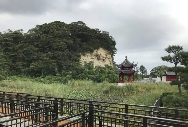 本牧市民公園の写真・動画_image_313260