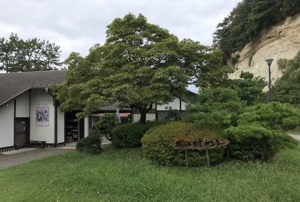 本牧市民公園の写真・動画_image_313261