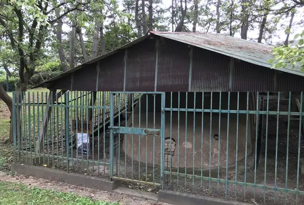 本牧市民公園の写真・動画_image_313262