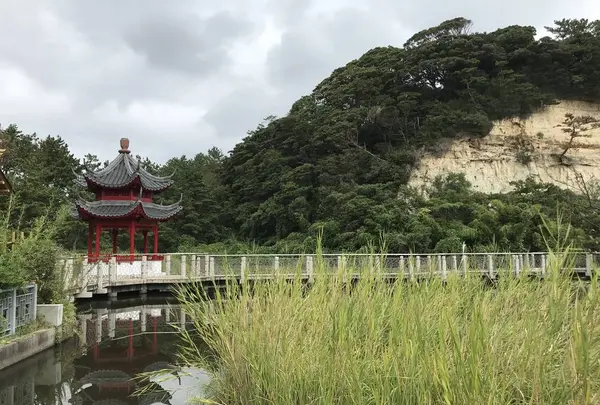 本牧市民公園の写真・動画_image_313263