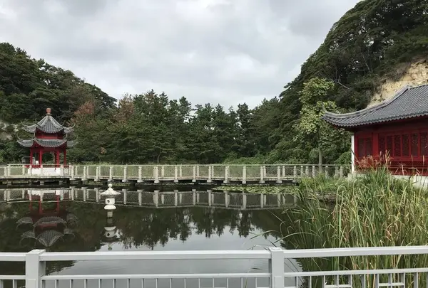 本牧市民公園の写真・動画_image_313264