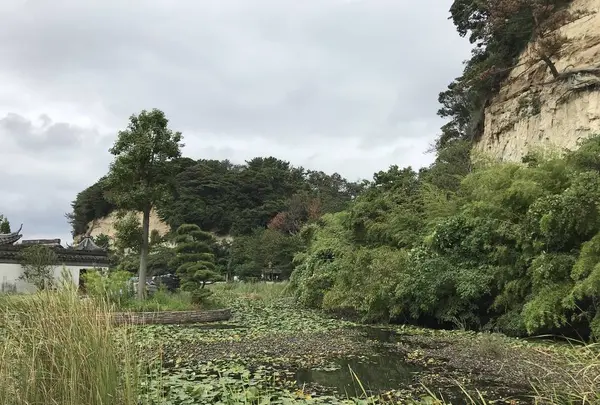 本牧市民公園の写真・動画_image_313266