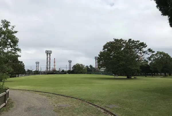 本牧市民公園の写真・動画_image_313267