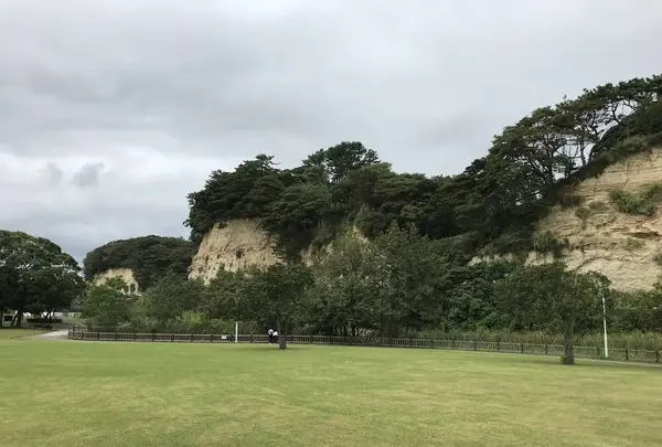 本牧市民公園の写真・動画_image_313268