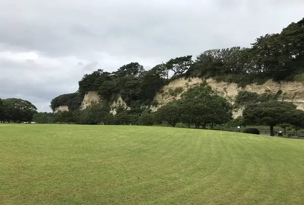 本牧市民公園の写真・動画_image_313269