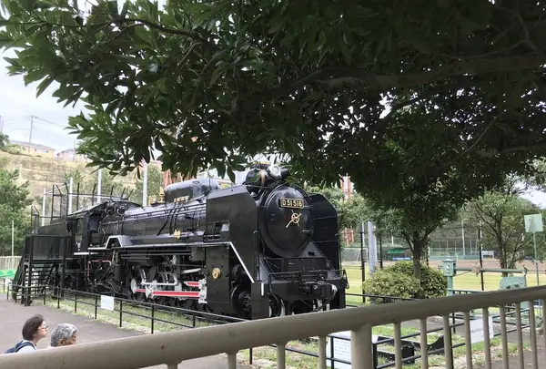 本牧市民公園の写真・動画_image_313270