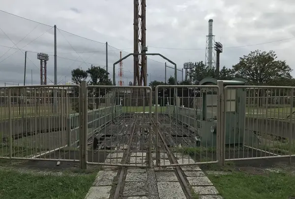 本牧市民公園の写真・動画_image_313271