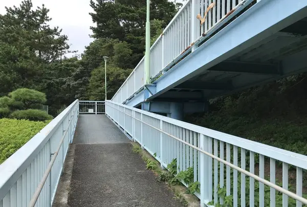 本牧市民公園の写真・動画_image_313272