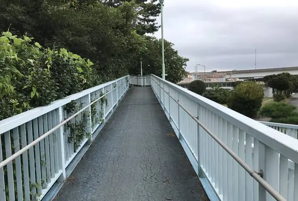 本牧市民公園の写真・動画_image_313273