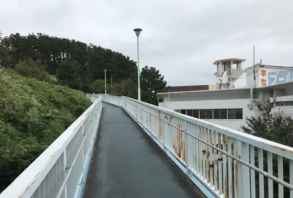 本牧市民公園の写真・動画_image_313274