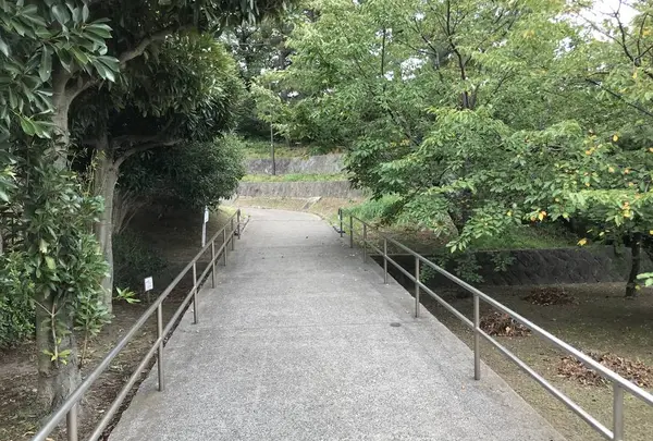 本牧市民公園の写真・動画_image_313276