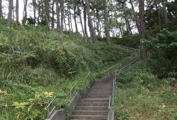 本牧市民公園の写真・動画_image_313277