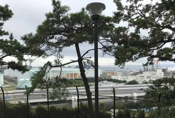 本牧市民公園の写真・動画_image_313278