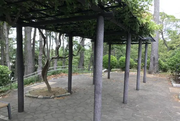 本牧市民公園の写真・動画_image_313279