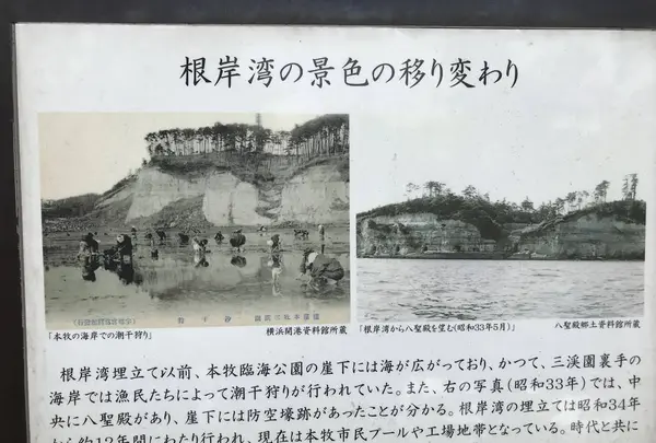 本牧市民公園の写真・動画_image_313280