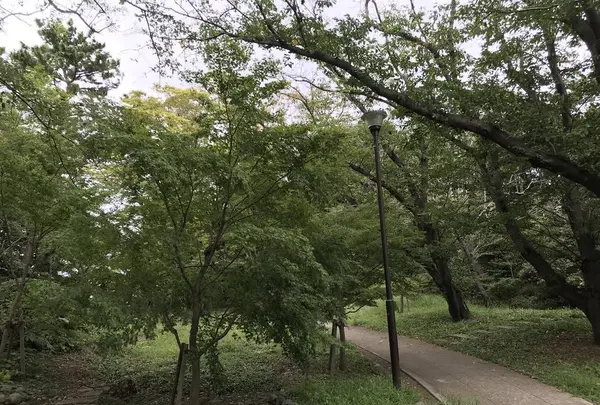 本牧市民公園の写真・動画_image_313281