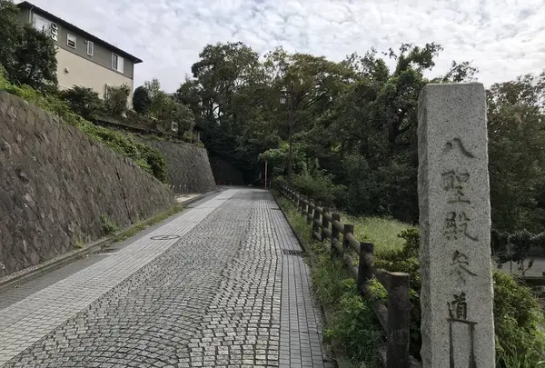 本牧市民公園の写真・動画_image_313288