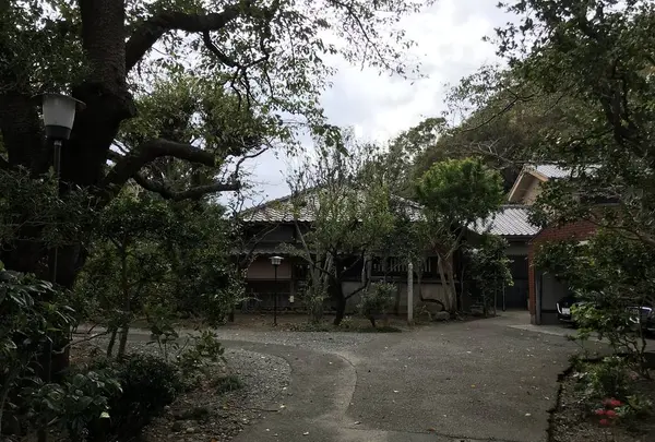 本牧市民公園の写真・動画_image_313307