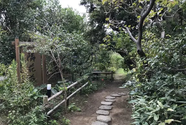 本牧市民公園の写真・動画_image_313308