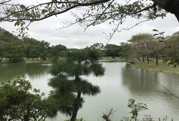 本牧市民公園の写真・動画_image_313311