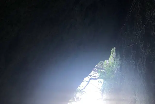 斎場御嶽の写真・動画_image_313338