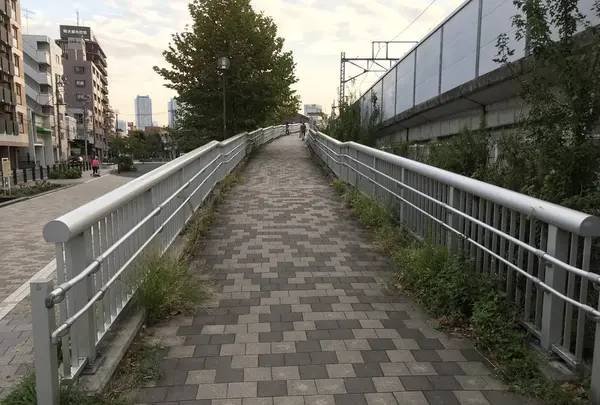 孝道山本仏殿（宗教法人）の写真・動画_image_313374