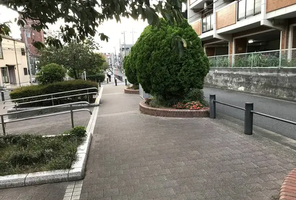 孝道山本仏殿（宗教法人）の写真・動画_image_313381