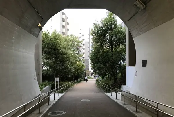 孝道山本仏殿（宗教法人）の写真・動画_image_313393