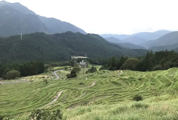 丸山千枚田の写真・動画_image_313564