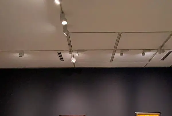 ベルナール・ビュフェ美術館の写真・動画_image_313566