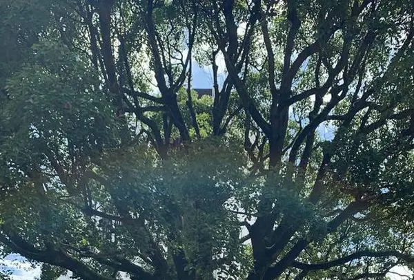 ベルナール・ビュフェ美術館の写真・動画_image_313567