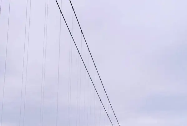 三島スカイウォークの写真・動画_image_313569